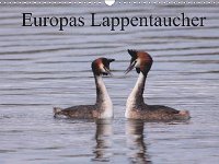 Europas Lappentaucher 2015